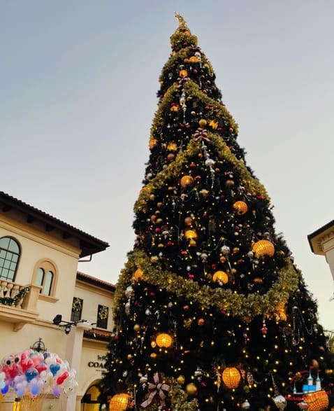 Disney Springs Christmas Tree Trail 2020 8
