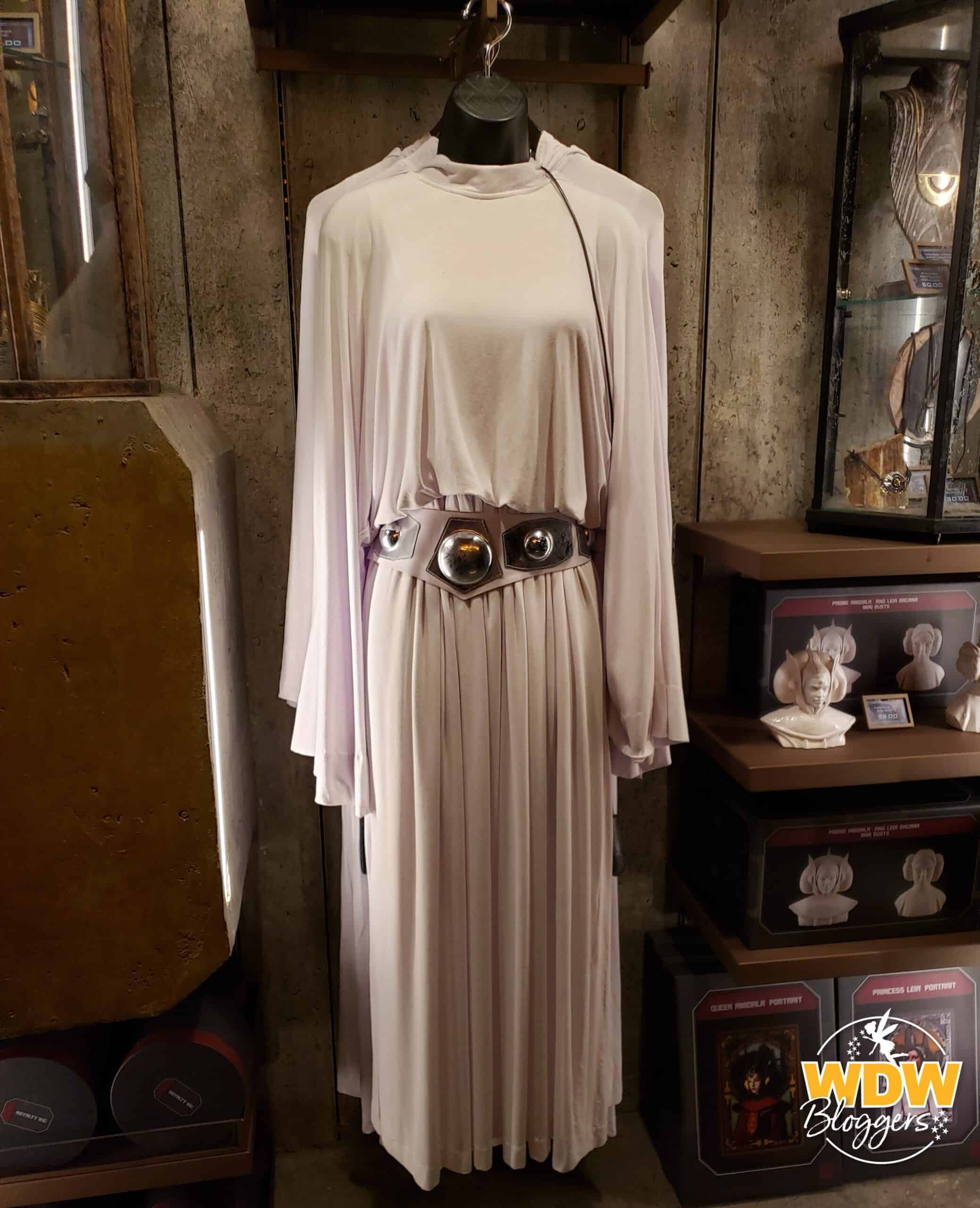 Star Wars Galaxy's Edge Dok Ondar's Den of Antiquities Princess Leia Costume