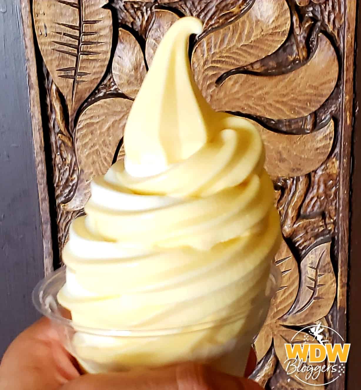 Dole Whip at Magic Kingdom Walt Disney World